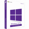 Microsoft Windows 10 Professional for Workstations Deutsch/Multilingual