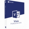 Microsoft Visio Professional 2019 Deutsch/Multilingual (D87-07425)