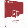 Microsoft Access 2019 Deutsch/Multilingual (077-07233)