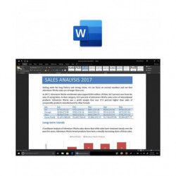 Microsoft Office 2019 Home and Business für Windows Deutsch/Multilingual (T5D-03183)