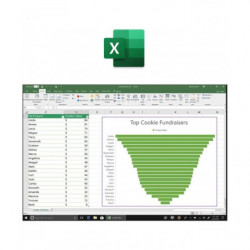 Microsoft Office 2019 Home and Business für Windows Deutsch/Multilingual (T5D-03183)