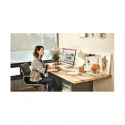 Microsoft Office 2019 Home and Business für Windows Deutsch/Multilingual (T5D-03183)