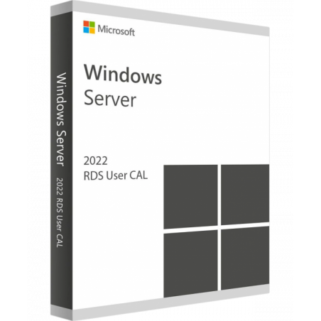 Microsoft Windows Remote Desktop Services 2022 5 User CAL (PC)