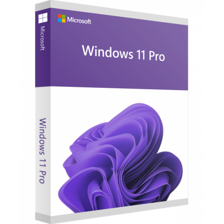 Microsoft Windows 11 Professional Deutsch/Multilingual (Retail-Dauerlizenz) (FQC-10572)