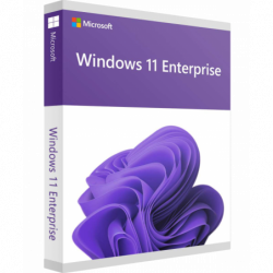 Microsoft Windows 11 Enterprise LTSC 2024 Deutsch/Multilingual (DG7GMGF0PP46:0002)