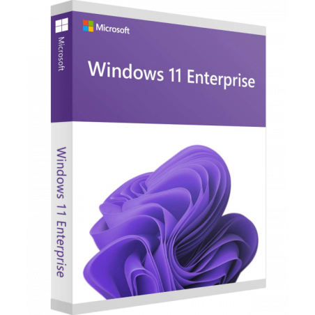 Microsoft Windows 11 Enterprise LTSC 2024 Deutsch/Multilingual (DG7GMGF0PP46:0002)