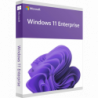 Microsoft Windows 11 Enterprise LTSC 2024 Deutsch/Multilingual (DG7GMGF0PP46:0002)