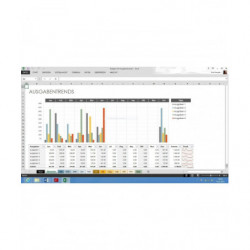 Microsoft Office 2013 Professional Deutsch/Multilingual (AAA-02753)