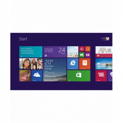 Microsoft Windows 8.1 Pro Deutsch/Multilingual (6PR-00006)