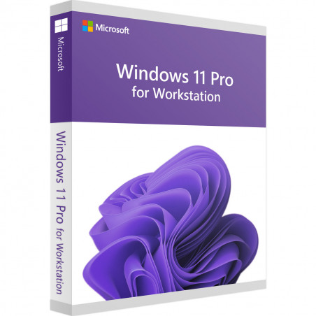 Microsoft Windows 11 Professional for Workstations Deutsch/Multilingual ESD