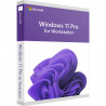 Microsoft Windows 11 Professional for Workstations Deutsch/Multilingual ESD
