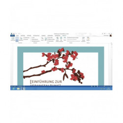 Microsoft Office 2013 Home and Business Deutsch/Multilingual (AAA-02652)