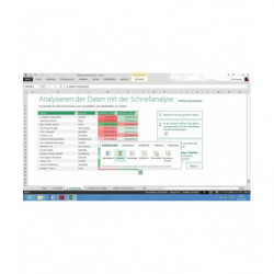 Microsoft Office 2013 Professional Deutsch/Multilingual (AAA-02753)